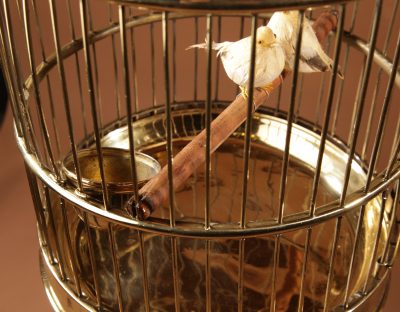 A Brass Very Decorative round Bird Cage Circa 1920 - Image 6