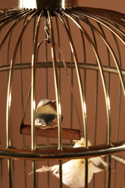 A Brass Very Decorative round Bird Cage Circa 1920 - Image 7