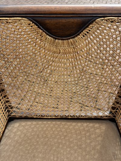 19th Century Mahogany Bergere Armchair - Image 7