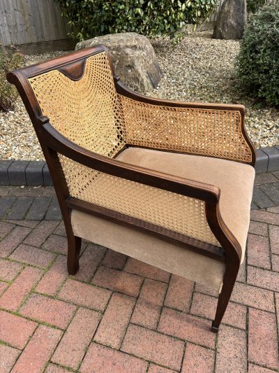 19th Century Mahogany Bergere Armchair - Image 3