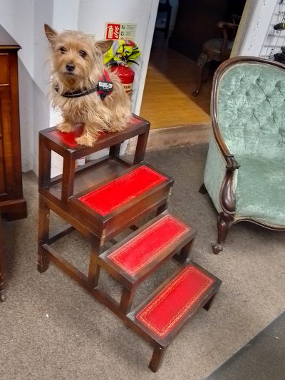 Good Vintage Metamorphic Coffee Table Library Steps - Image 7