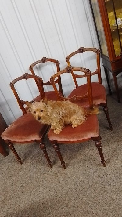 Antique Victorian Set of 4 Walnut Dining Chairs - Image 4