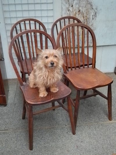 Antique Circa 1900 Set of 4 Country Kitchen Dining Chairs - Image 4