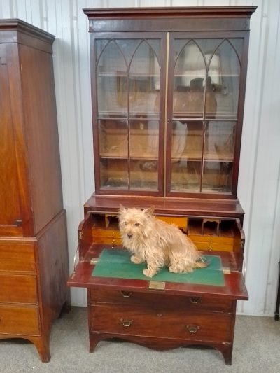 Antique Georgian Secretaire Bookcase - Image 6