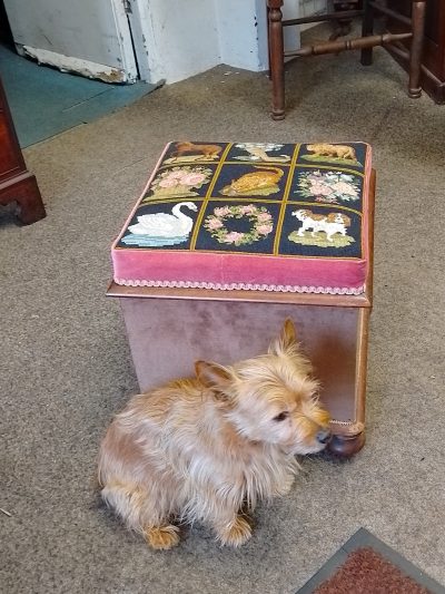 Antique Victorian Ottoman Box Stool - Image 4
