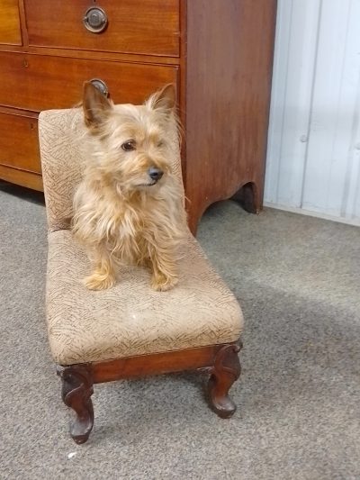 Antique Gout Stool - Image 2