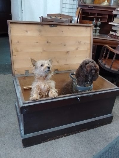 Antique Pine Box Chest - Image 5
