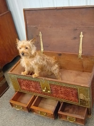 Antique Zanzibar Box Chest - Image 5