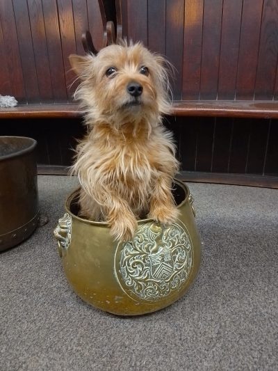 Good Antique Brass Armorial Jardinière or Log Bin - Image 2