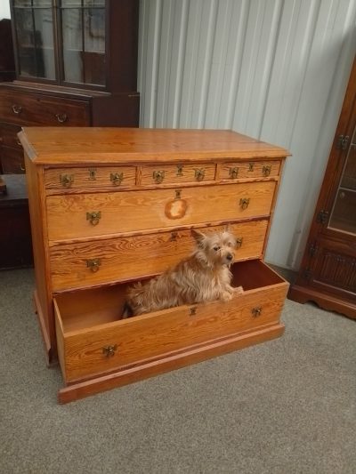 Antique Pitch Pine Chest of Drawers - Image 4