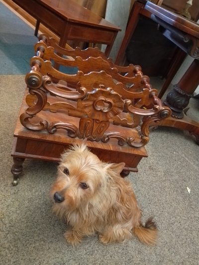 Good Antique Victorian Canterbury Magazine Stand - Image 2