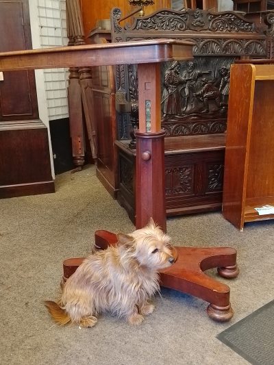Antique Adjustable Bed Reading Table - Image 2