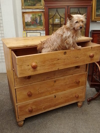 Victorian Pine Chest of Drawers - Image 7