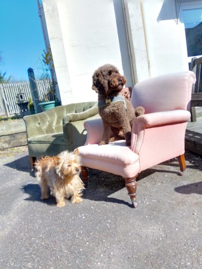 Antique Victorian Howard's Style Armchair - Image 4