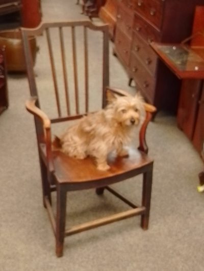 Antique Georgian Elm Armchair - Image 3
