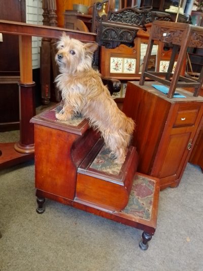 Antique Victorian Step Commode - Image 7