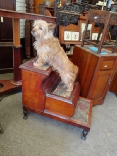 Antique Victorian Step Commode - Image 8