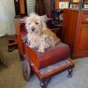 Antique Victorian Step Commode - Image 10