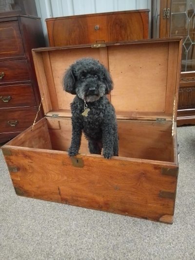 Antique Camphor Box Chest - Image 7