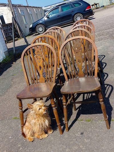1920's Set of 8 Country Kitchen Dining Chairs - Image 6