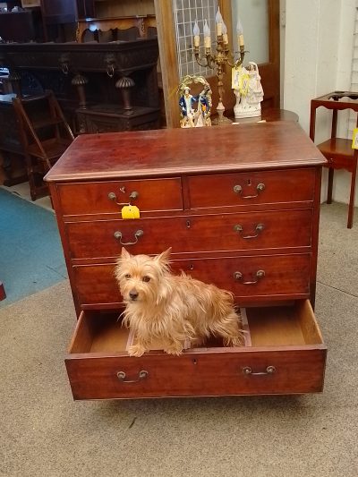 Good Antique Georgian Chest of Drawers - Image 2