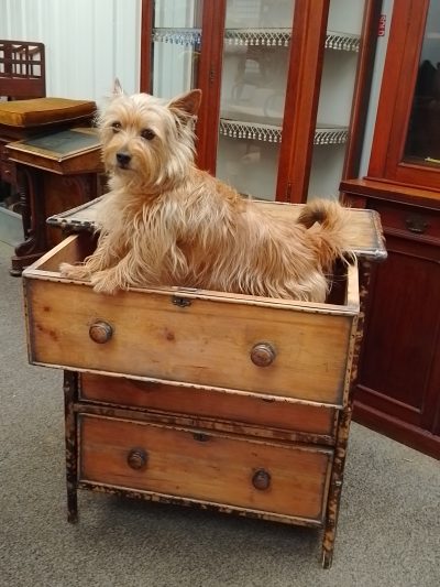 Good Antique Bamboo Small Chest of Drawers - Image 4