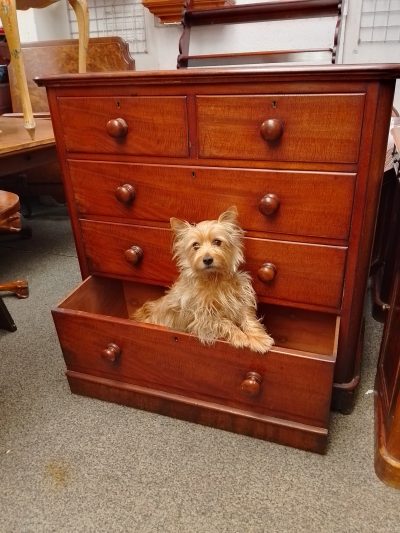 Good Antique Victorian Chest of Drawers - Image 3