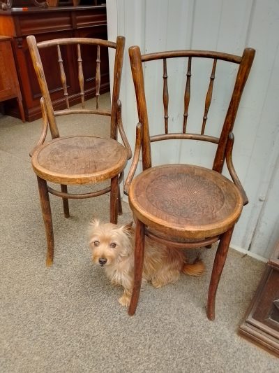 Pair of Antique 1920's Bentwood Chairs - Image 3