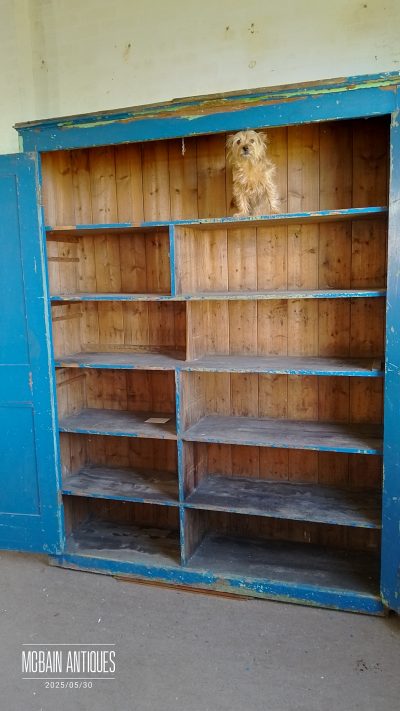 Large Antique Victorian Painted House Keepers Cupboard - Image 7