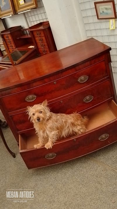 Small Antique Bow Front Chest - Image 5