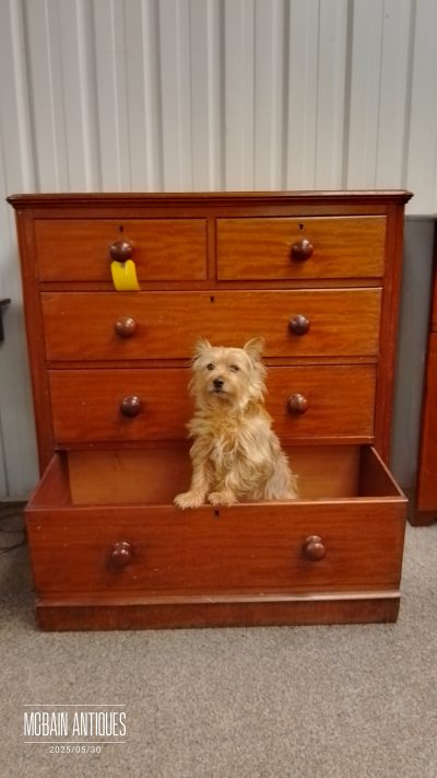 Antique Victorian Chest of Drawers - Image 5