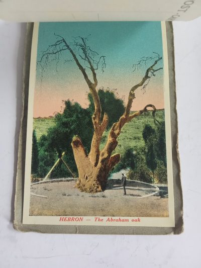 Rare 12 Palestine COLOUR Photographic Postcard Booklet including Interior view Masjid Al Aqsa c1920 - Image 14