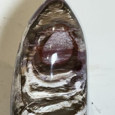 Giuliano Tincani Rare Fossilised wood Artform - Image 2