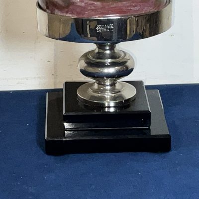 Giuliano Tincani Rare Fossilised wood Artform - Image 4