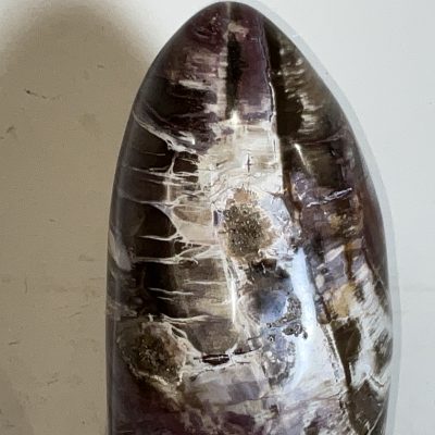 Giuliano Tincani Rare Fossilised wood Artform - Image 8