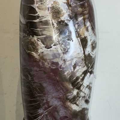 Giuliano Tincani Rare Fossilised wood Artform - Image 9