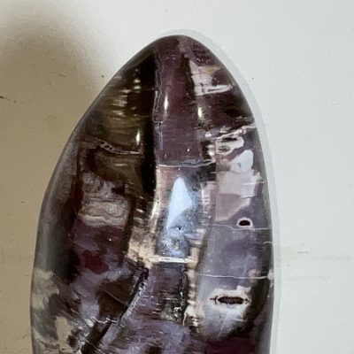 Giuliano Tincani Rare Fossilised wood Artform - Image 19