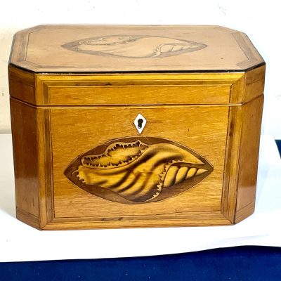 Tea Caddie Satinwood With Shell Inlays Georgian - Image 12