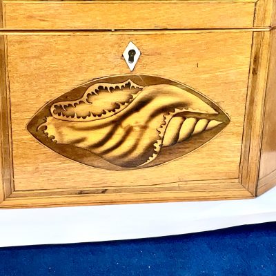 Tea Caddie Satinwood With Shell Inlays Georgian - Image 3