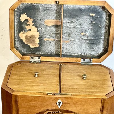 Tea Caddie Satinwood With Shell Inlays Georgian - Image 6