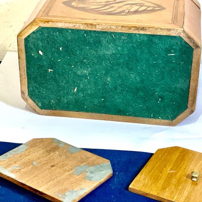 Tea Caddie Satinwood With Shell Inlays Georgian - Image 10
