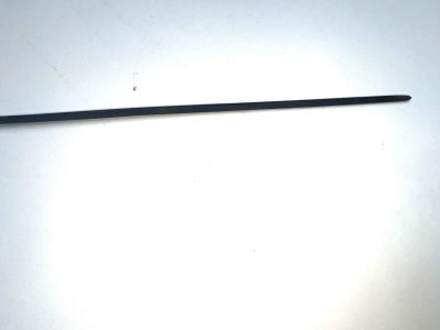Gentleman's Horn  with 18ct Gold plate handle  & ebonised stick sword stick - Image 16