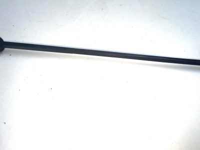 Gentleman's Horn  with 18ct Gold plate handle  & ebonised stick sword stick - Image 18