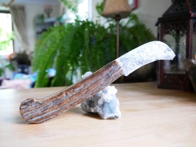 Antique 19th Century French Pruning Knife, Antler Handle - Image 3
