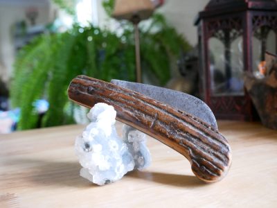 Antique 19th Century French Pruning Knife, Antler Handle - Image 8