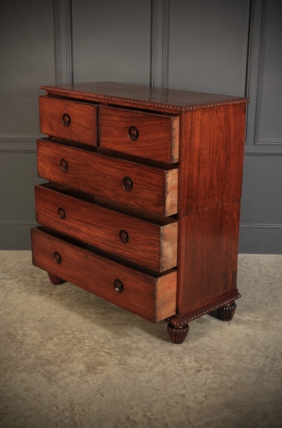 Anglo Indian Padauk Wood Military Chest - Image 4