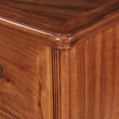 Victorian Camphor Wood Military Campaign Secretaire Chest - Image 11