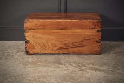 Antique Military Campaign Camphor Wood Trunk - Image 9