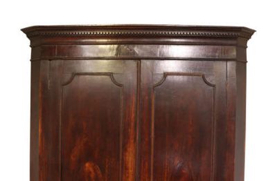 Geo III Standing Corner Cupboard - Image 4
