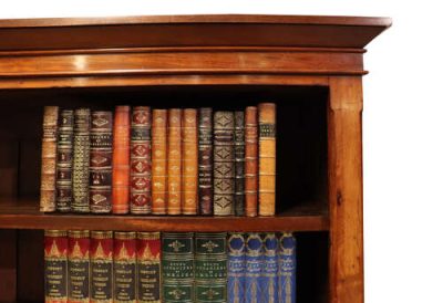 Victorian Double Open Bookcase - Image 4